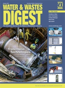 January 2011 cover image