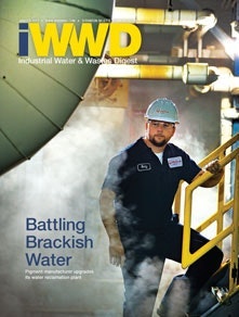 IWWD January/February 2013 cover image