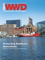 IWWD March/April 2013 cover image