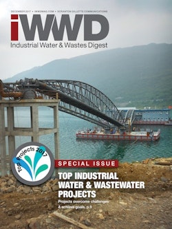 IWWD December 2017 cover image