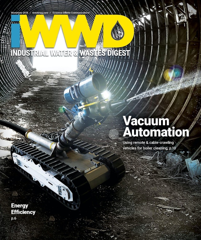 IWWD November 2018 cover image