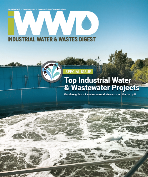 IWWD December 2018 cover image