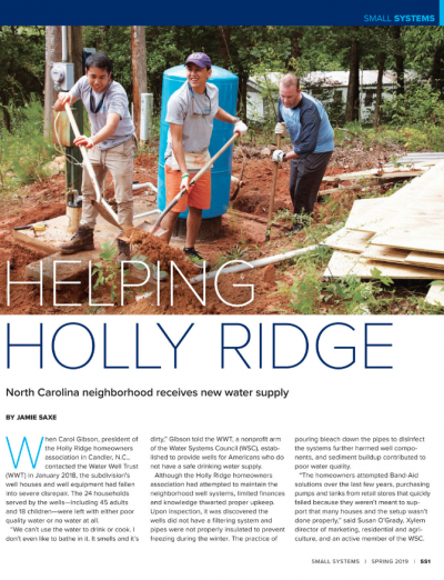 Small Systems Spring 2019 cover image