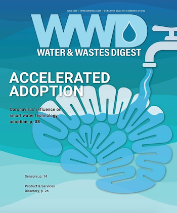 June 2020 cover image