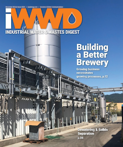 iwwd Winter Issue 2020 cover image