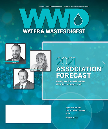 January 2021 cover image