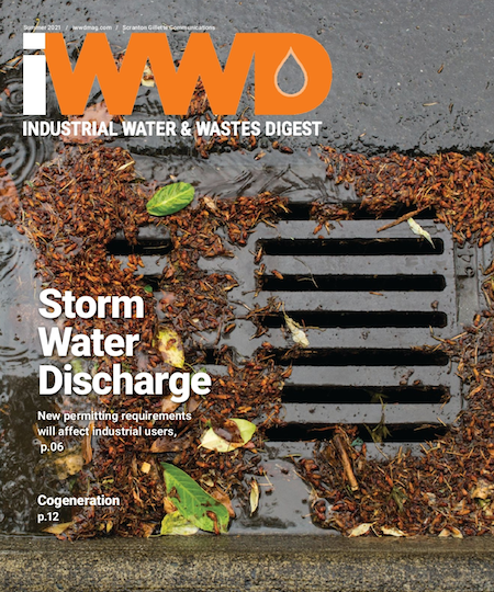 iwwd Summer 2021 cover image