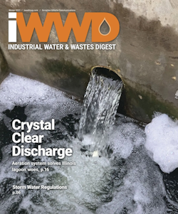 IWWD Winter 2021 cover image