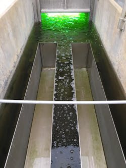 IMG_0908 IMG_0908