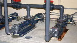 pic1