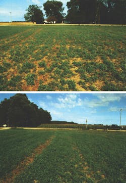 1655240200102 Wagneralfalfafield 1655240200102 Wagneralfalfafield