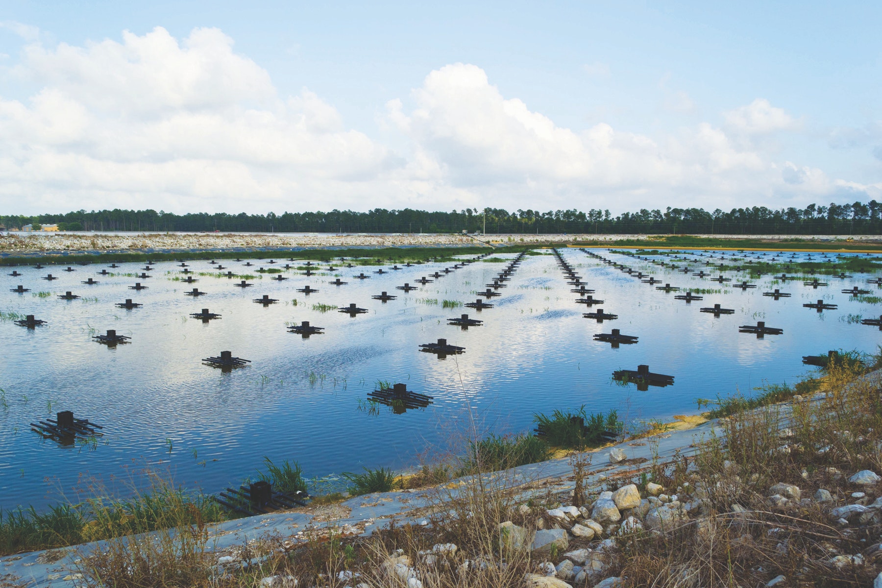 1655240204851 Dsc 4077 Edit