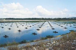 1655240204851 Dsc 4077 Edit 1655240204851 Dsc 4077 Edit