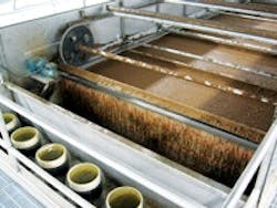 1655240218545 Photo 1 Aerobic 1655240218545 Photo 1 Aerobic