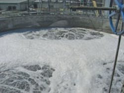 1655240228551 Sieiep 003 1655240228551 Sieiep 003