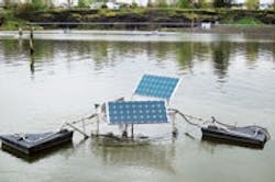 1655240230344 Product 1655240230344 Product