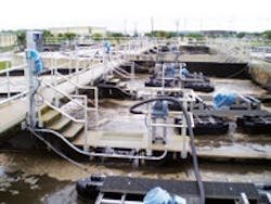 1655240231761 Tritonstaugustine2 1655240231761 Tritonstaugustine2