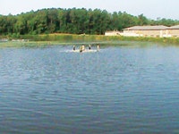 1655240237139 Dsc00216