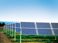 1655240246611 Oralomapanels