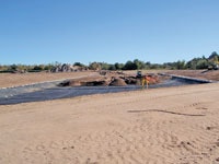 1655240251108 Dep P1037598