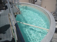 1655240251404 Ch2m Img 0907