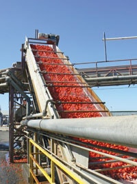 1655240251594 Po P1020664