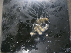 1655240254924 Biofilm 1655240254924 Biofilm