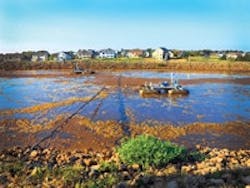 1655240261152 Photo 1 Lonsdale Edit 1655240261152 Photo 1 Lonsdale Edit