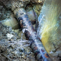 1655240261239 Dsc00033 Edit