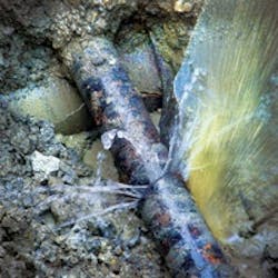 1655240261239 Dsc00033 Edit 1655240261239 Dsc00033 Edit