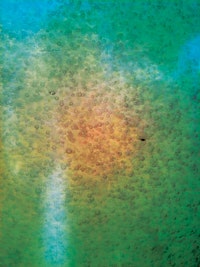 1655240264318 Bubbles Inside Ozone Contactor1