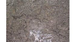 sludge1 sludge1