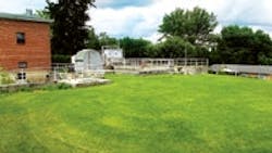 1655240270310 Water Plant 010 1655240270310 Water Plant 010