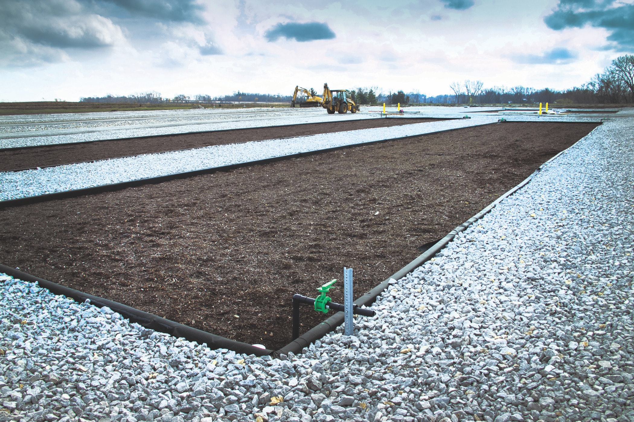 1655240275455 Walker Sagr