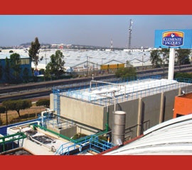 1655240284502 Gwe Sabormexonecopy