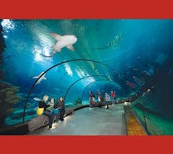 1655240284892 Xy Rotterdamzoooceanium1copy 1655240284892 Xy Rotterdamzoooceanium1copy