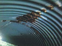 0717131244_edit 0717131244_edit