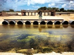 1655240321821 Photo 9 1655240321821 Photo 9