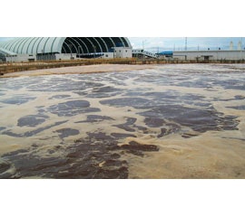 PRO_Paper-Mill-Wastewater-Treatment-System-copy