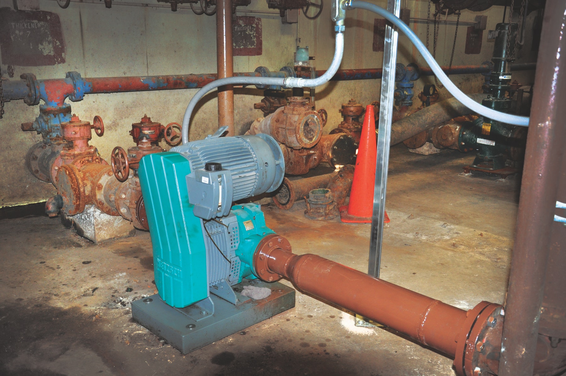 1655240331563 Caption 1