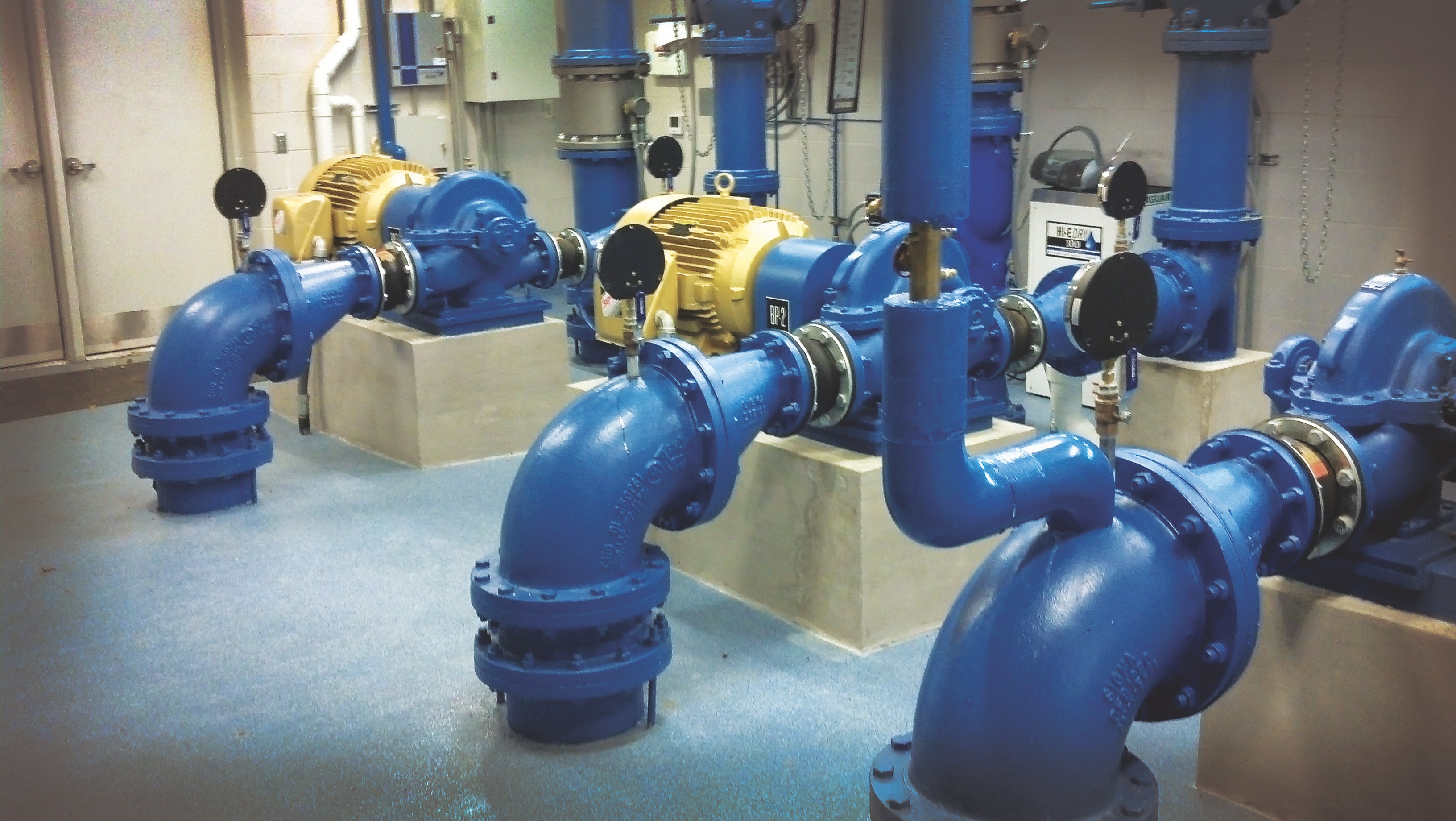 1655240341488 Madison1