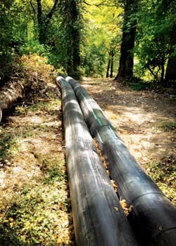 1655240343172 Bypass3 1655240343172 Bypass3