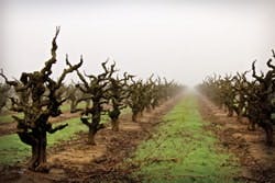 1655240344237 Image 14 Edit 1655240344237 Image 14 Edit