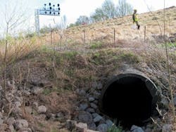 1655240363605 Ppi Img 0311 1655240363605 Ppi Img 0311