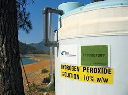 1655240369333 Usp Banner 3 1655240369333 Usp Banner 3