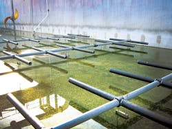 1655240371145 Img 2691 1655240371145 Img 2691