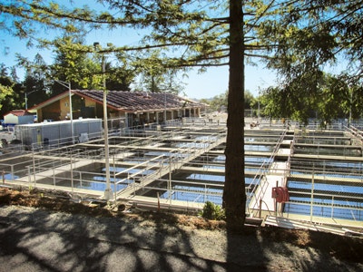 1655240383527 Ghwtp Edit