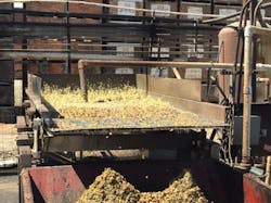 SPW_Food%20Processing%20Shaker%20Bed2 SPW_Food%20Processing%20Shaker%20Bed2