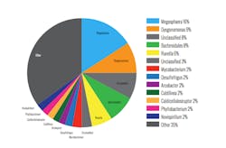 1655240403195 Screen Shot 20170105 At 2 1655240403195 Screen Shot 20170105 At 2