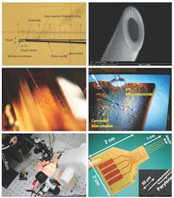 1655240412079 Fig1 1655240412079 Fig1